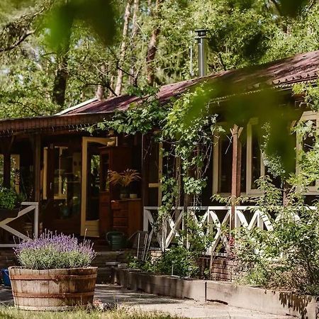 Forest Cottage With Lovely Garden & Sauna Doornspijk Dış mekan fotoğraf