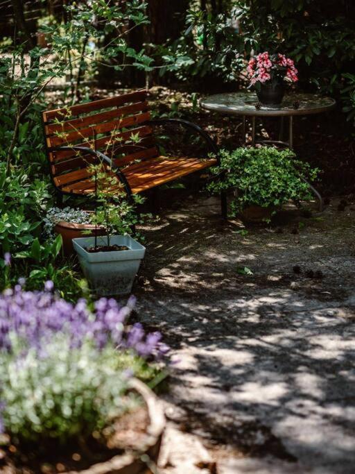 Forest Cottage With Lovely Garden & Sauna Doornspijk Dış mekan fotoğraf