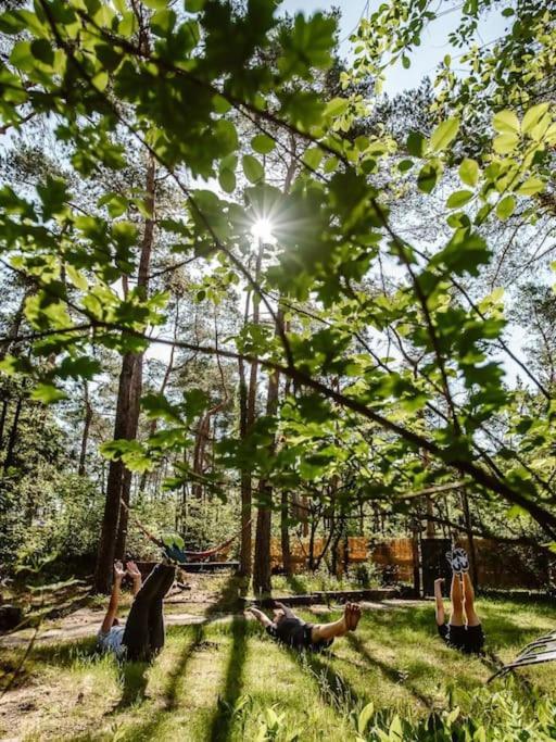 Forest Cottage With Lovely Garden & Sauna Doornspijk Dış mekan fotoğraf