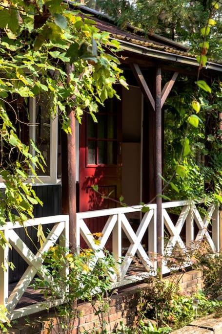 Forest Cottage With Lovely Garden & Sauna Doornspijk Dış mekan fotoğraf